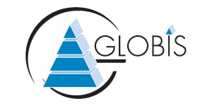 Globis-consulting